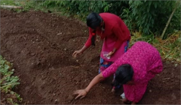 Case Story 1 – Kaveri Mahila Mahasangha – Tribal Woman Rises to Conquer in Karnataka Village